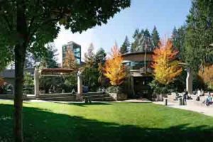 Capilano University Courses