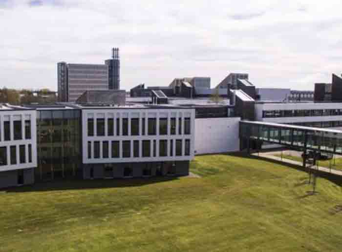 Ulster University Courses